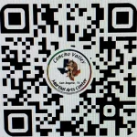 QR of concho valley martial arts